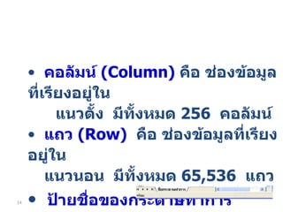 คอลัมน์  ( Column)   คือ ช่องข้อมูลที่เรียงอยู่ใน แนวตั้ง  มีทั้งหมด  256  คอลัมน์ แถว  ( Row)   คือ ช่องข้อมูลที่เรียงอยู่ใน แนวนอน  มีทั้งหมด  65,536  แถว ป้ายชื่อของกระดาษทำการ  ( sheet tab) ใช้แสดงชื่อของชีทที่กำลังใช้งานอยู่ 