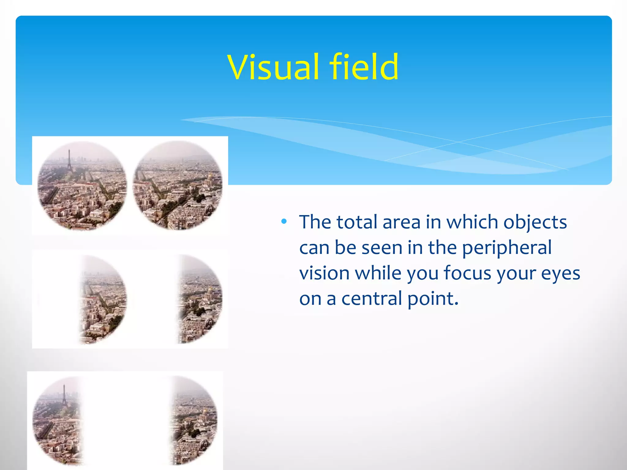 The total area in which objects can be seen in the peripheral vision while you focus your eyes on a central point. Visual field 