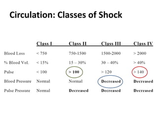 Circulation: Classes of Shock
 