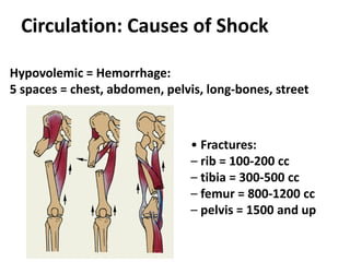 Circulation: Causes of Shock
Hypovolemic = Hemorrhage:
5 spaces = chest, abdomen, pelvis, long-bones, street
• Fractures:
– rib = 100-200 cc
– tibia = 300-500 cc
– femur = 800-1200 cc
– pelvis = 1500 and up
 