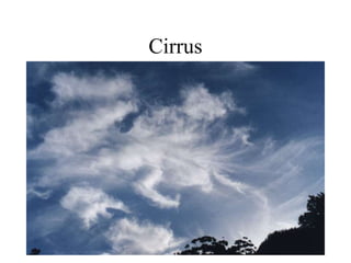 Cirrus
 