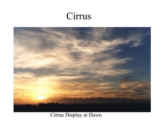 Cirrus
Cirrus Display at Dawn
 