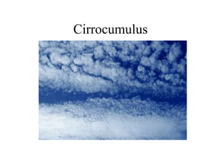 Cirrocumulus
 