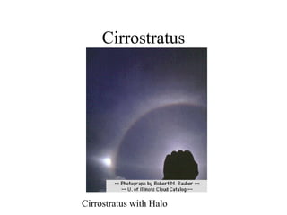 Cirrostratus
Cirrostratus with Halo
 