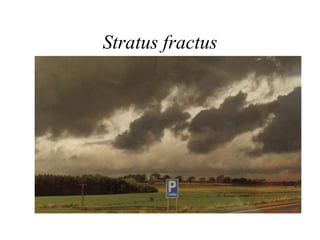 Stratus fractus
 