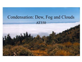 Condensation: Dew, Fog and Clouds
AT350
 