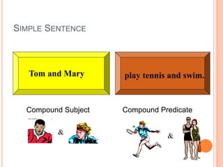 SIMPLE SENTENCE
play tennis and swim.Tom and Mary
Compound Subject Compound Predicate
& &
 