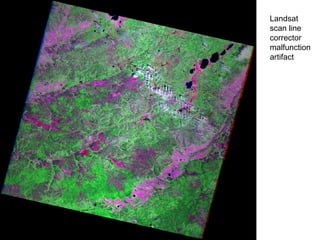 Landsat scan line corrector malfunction artifact  
