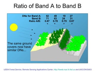 Ratio of Band A to Band B USDA Forest Service, Remote Sensing Applications Center,  http://fsweb.rsac.fs.fed.us  and UAS ENVS403 