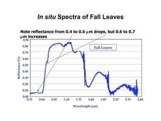 In situ  Spectra of Fall Leaves Wavelength (µm) Reflectance (%) 0.90 0.60 0.50 0.40 0.30 0.00 0.35 0.60 0.85 1.10 1.35 1.60 1.85 2.35 2.10 0.20 0.10 Fall Leaves 0.80 0.70 2.60 Note reflectance from 0.4 to 0.6   m drops, but 0.6 to 0.7   m increases 
