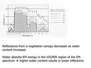 Reflectance from a vegetation canopy decreases as water content increases Water absorbs EM energy in the VIS/RIR region of the EM spectrum    higher water content results in lower reflections 