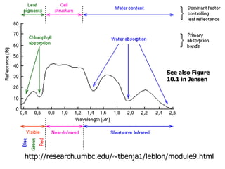 http://research.umbc.edu/~tbenja1/leblon/module9.html See also Figure 10.1 in Jensen 