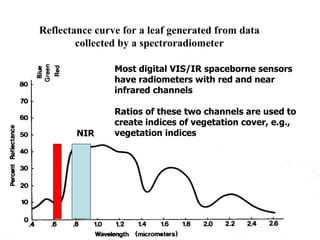 Reflectance curve for a leaf generated from data collected by a spectroradiometer NIR Most digital VIS/IR spaceborne sensors have radiometers with red and near infrared channels Ratios of these two channels are used to create indices of vegetation cover, e.g., vegetation indices 