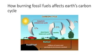 How burning fossil fuels affects earth’s carbon
cycle
 