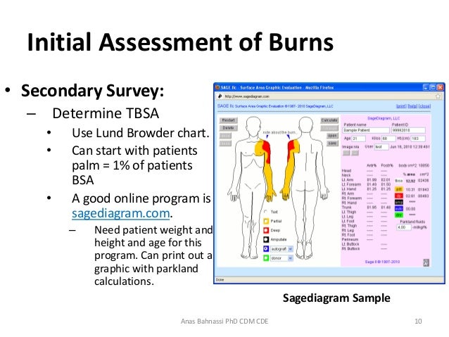Burns Assessment Chart