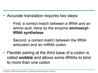 gene to protein | PPT