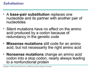 gene to protein | PPT