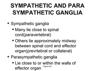 SYMPATHETIC AND PARA
  SYMPATHETIC GANGLIA
 Sympathetic ganglia
   Many lie close to spinal
    cord(paravertebral)
   Others lie approximately midway
    between spinal cord and effector
    organ(prevrtebral or collateral)
 Parasympathetic ganglia
   Lie close to or within the walls of
                    Figure 8-2
    effector organ
 