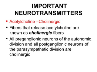 IMPORTANT
    NEUROTRANSMITTERS
 Acetylcholine =Cholinergic
 Fibers that release acetylcholine are
  known as cholinergic fibers
 All preganglionic neurons of the autonomic
  division and all postganglionic neurons of
  the parasympathetic division are
  cholinergic
 