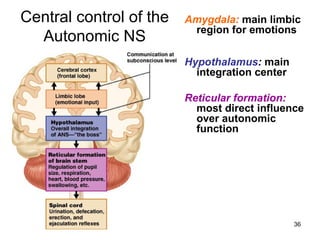 Central control of the   Amygdala: main limbic
                          region for emotions
  Autonomic NS
                         Hypothalamus: main
                           integration center

                         Reticular formation:
                           most direct influence
                           over autonomic
                           function




                                                36
 