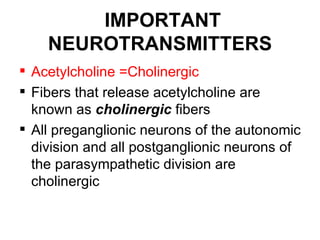 Norepinephrine = Adrenergic
 Neurotransmitter between the sympathetic
  postganglionic fiber and the effector cell
   Fi...