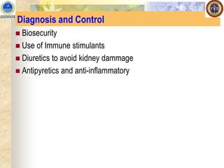 Diagnosis and Control
◼ Biosecurity
◼ Use of Immune stimulants
◼ Diuretics to avoid kidney dammage
◼ Antipyretics and anti-inflammatory
 