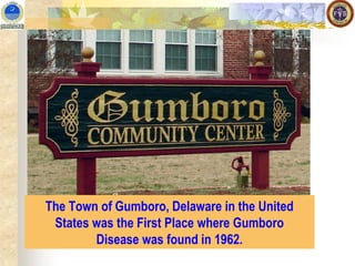 The Town of Gumboro, Delaware in the United
States was the First Place where Gumboro
Disease was found in 1962.
 