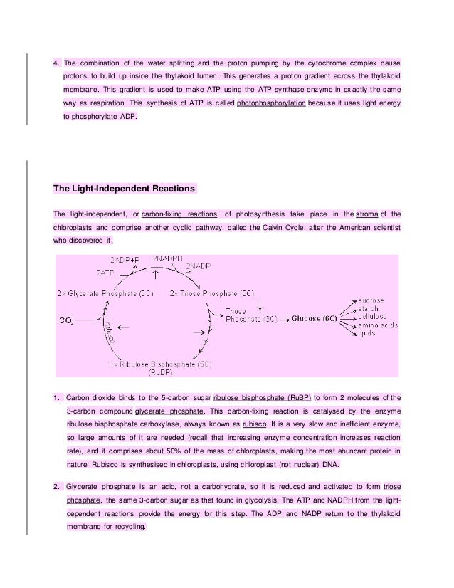 cape biology unit 2 _atp_respiration_and_photosynthesis_version_2 full form of atp in biology