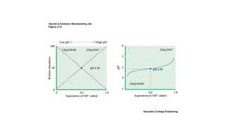 LECTURE II Acids and Bases.ppt