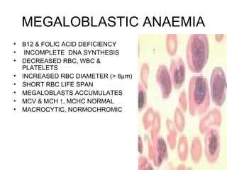 Lecture iii anaemia | PPT