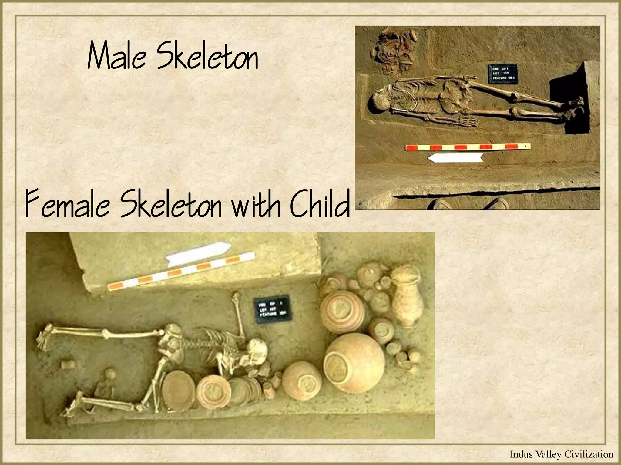 Indus Valley Civilization
Male Skeleton
Female Skeleton with Child
 