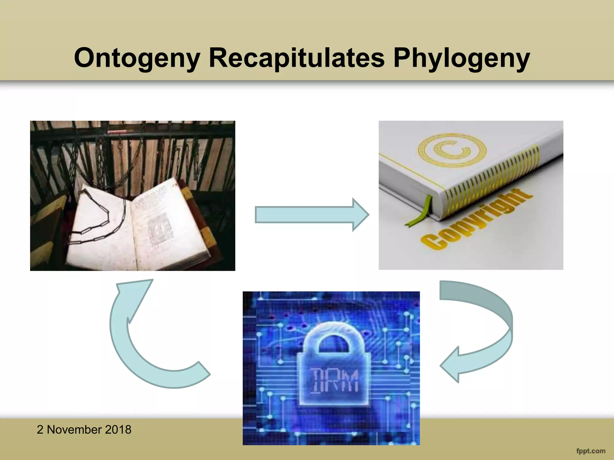 Ontogeny Recapitulates Phylogeny
2 November 2018
 
