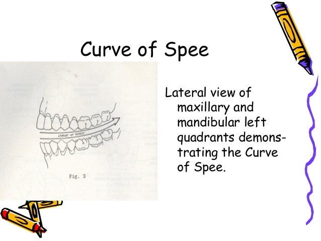 curve of spee