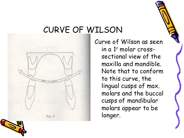 Curve Of Spee And Wilson