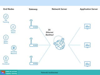 Network Architecture
 