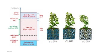 ‫الشكل‬
(
1
) ‫الشكل‬
(
2
) ‫الشكل‬
(
3
)
8/4/2023
 