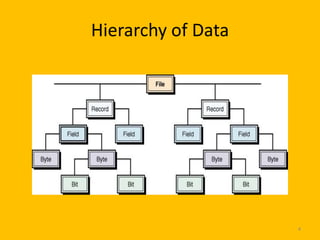Hierarchy of Data




                    4
 