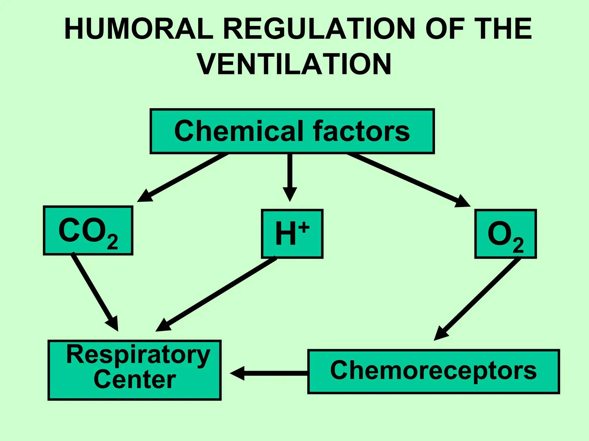 HUMORAL REGULATION OF THE
VENTILATION
H+
CO2 O2
Chemical factors
Respiratory
Center Chemoreceptors
 