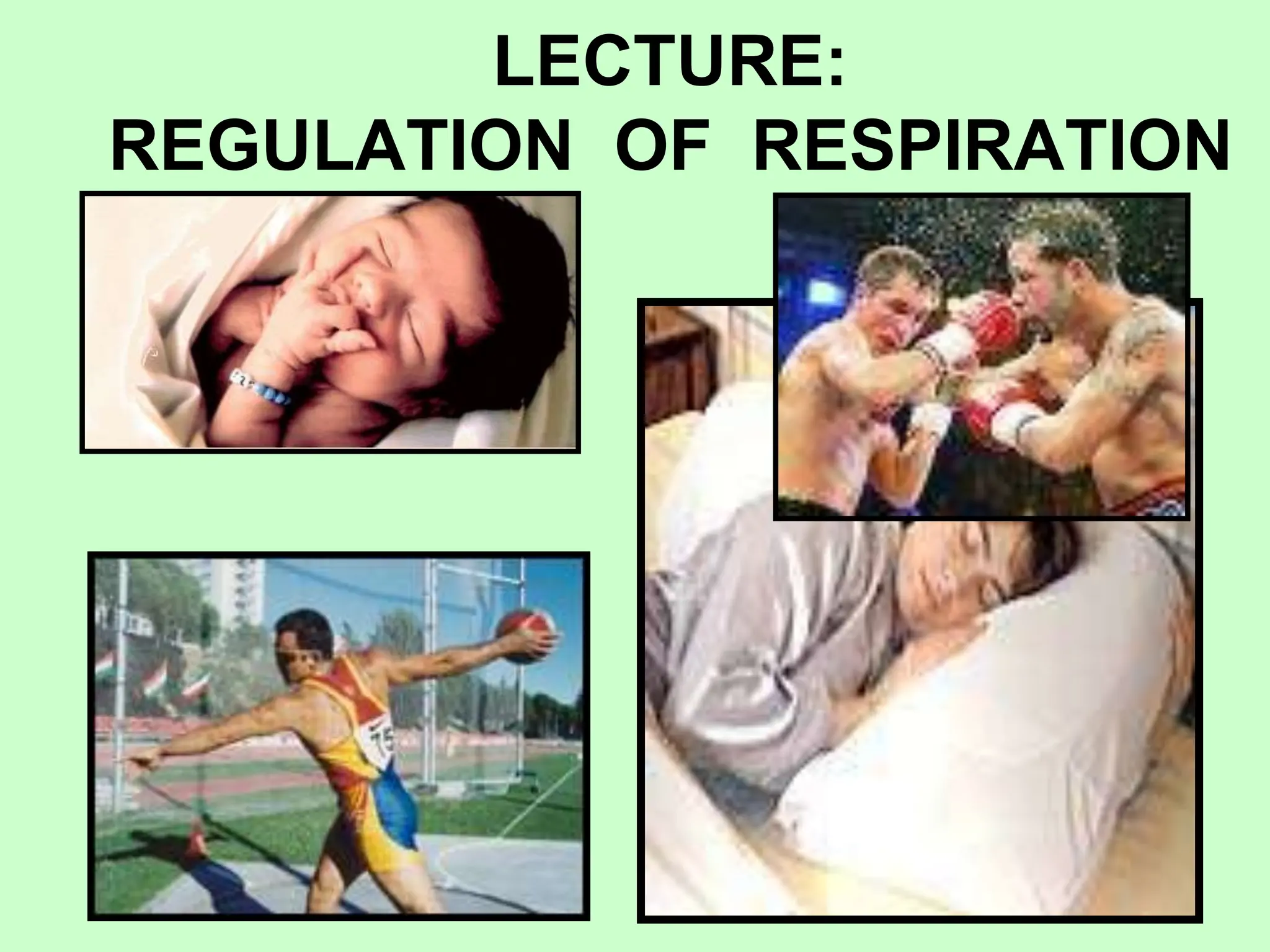 LECTURE:
REGULATION OF RESPIRATION
 