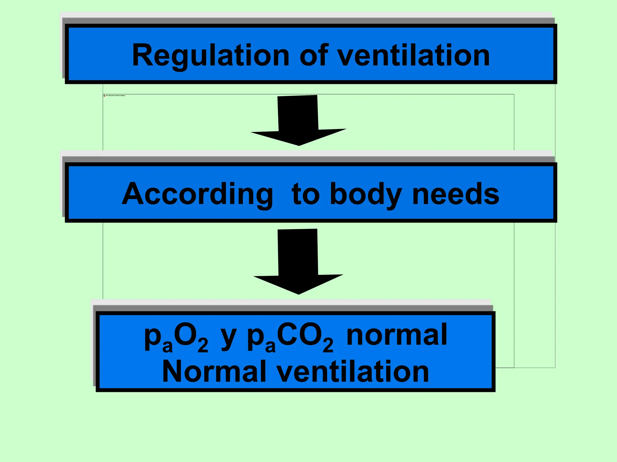 Regulation of ventilation
According to body needs
paO2 y paCO2 normal
Normal ventilation
 