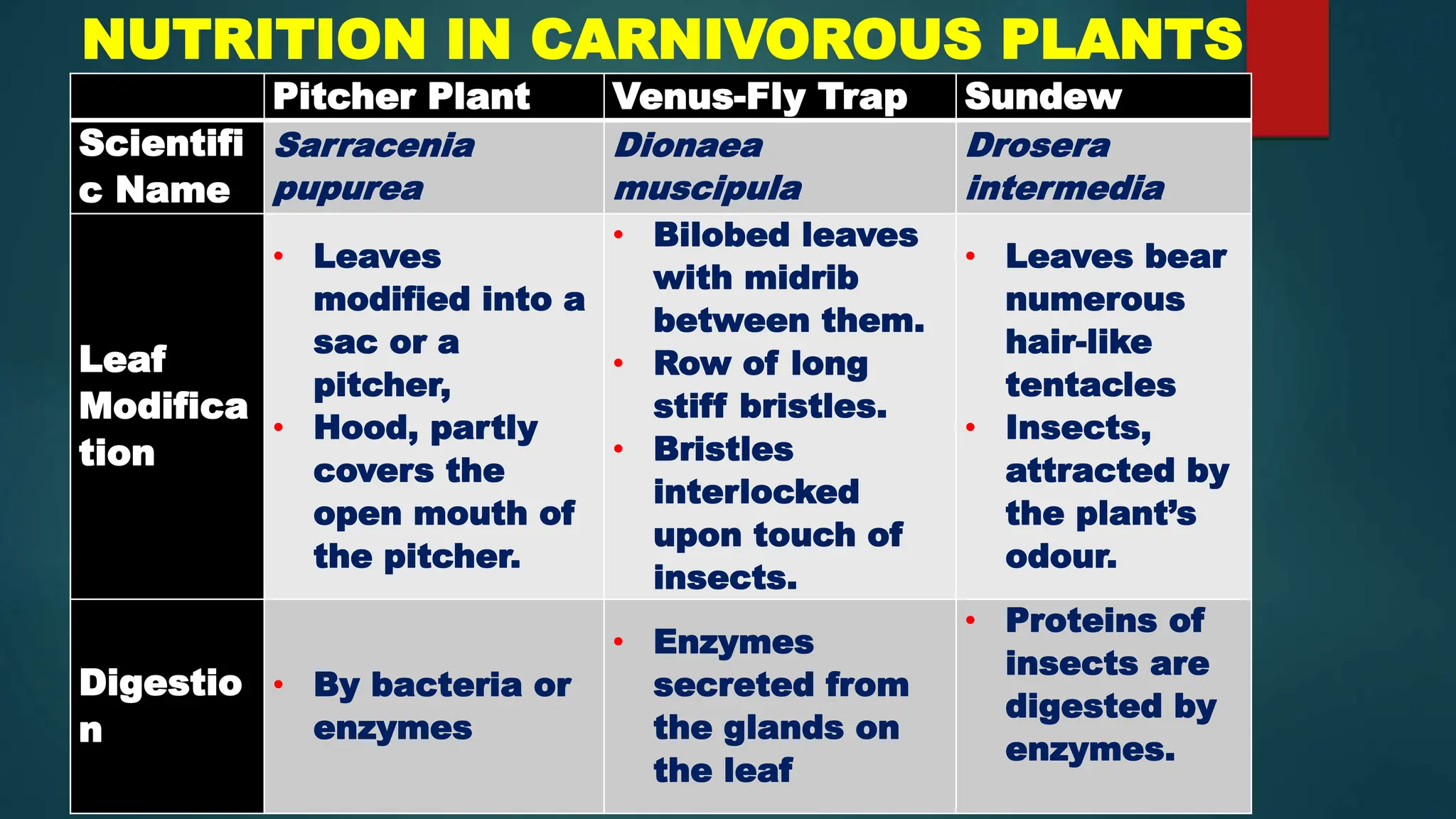 Lecture KIPS 2023 English and maths Unit 6.pptx