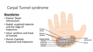 Carpal Tunnel syndrome
Boundaries:
• Palmar: flexor
retinaculum
• Radial: scaphoid tubercle
and the ridge of
trapezium
• Ulnar: pisiform and hook
of hamate
• Dorsal: Capitate,
trapezoid and trapezium
 