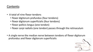 Contents:
• A total of nine flexor tendons
• flexor digitorum profundus (four tendons)
• flexor digitorum superficialis (four tendons)
• flexor pollicis longus (one tendon)
• flexor carpi radialis (one tendon) passes through the retinaculum
• A single nerve the median nerve between tendons of flexor digitorum
profundus and flexor digitorum superficialis
 