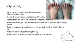 Polydactyly
• Most common congenital digital anomaly
of the hand and foot.
• Isolated: usually autosomal dominant/random
• Associated with other birth defects autosomal recessive.
• Preaxial polydactyly: the most common type, duplication of the first digit
or ray
• Central polydactyly: duplication of the second, third, or fourth digit or
ray.
• Postaxial polydactyly: fifth digit or ray.
• Radial, central, and ulnar vs tibial, central, and fibular
 