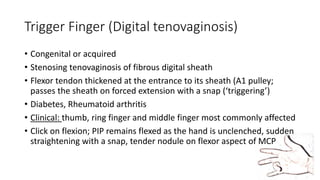 Trigger Finger (Digital tenovaginosis)
• Congenital or acquired
• Stenosing tenovaginosis of fibrous digital sheath
• Flexor tendon thickened at the entrance to its sheath (A1 pulley;
passes the sheath on forced extension with a snap (‘triggering’)
• Diabetes, Rheumatoid arthritis
• Clinical: thumb, ring finger and middle finger most commonly affected
• Click on flexion; PIP remains flexed as the hand is unclenched, sudden
straightening with a snap, tender nodule on flexor aspect of MCP
 