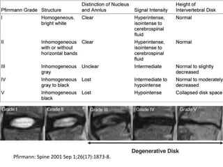 Pfirmann: Spine 2001 Sep 1;26(17):1873-8.
 