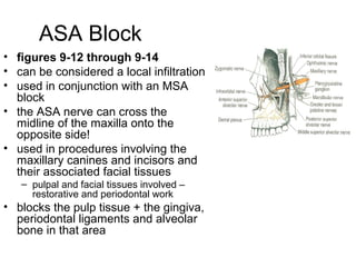 ASA Block
• figures 9-12 through 9-14
• can be considered a local infiltration
• used in conjunction with an MSA
  block
• the ASA nerve can cross the
  midline of the maxilla onto the
  opposite side!
• used in procedures involving the
  maxillary canines and incisors and
  their associated facial tissues
   – pulpal and facial tissues involved –
     restorative and periodontal work
• blocks the pulp tissue + the gingiva,
  periodontal ligaments and alveolar
  bone in that area
 