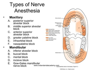 Types of Nerve
Anesthesia
•

Maxillary
A.
B.
C.
D.
E.
F.

•

posterior superior
alveolar block
middle superior alveolar
bl...