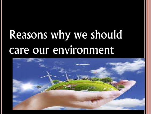 how to take care of the environment at home