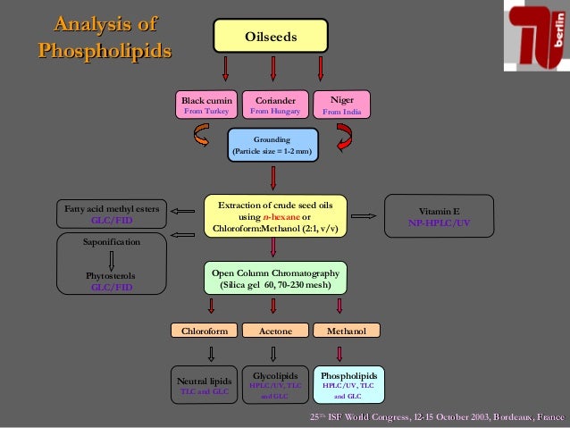 proximate analysis of proton seed oil Amino acid content and proximate analysis of the ethanol seed extract of and oil and moisture in varying amounts as represented on table 2 above discussion. proximate analysis of proton seed oil Amino acid content and proximate analysis of the ethanol seed extract of and oil and moisture in varying amounts as represented on table 2 above discussion.